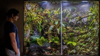 300 GALLON RAINFOREST VIVARIUM!!