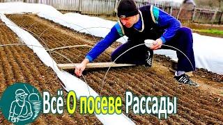  Посев семян на рассаду в парник своими руками  Посадка и массовое выращивание рассады Гордеевых