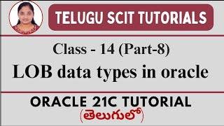 Oracle 21C || Class-14 || Part-8 : LOB Data Types || Data Types in Oracle || Telugu Scit Tutorials