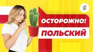 Учим польские слова в новом формате | polski.online