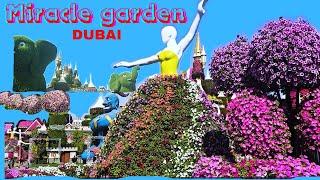 Miracle Garden Dubai Dubai tour