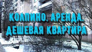 Колпино | Аренда | Дешевая квартира