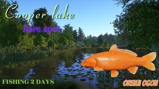 Russian Fishing 4 Copper lake | Orenji Ogon Spot #24