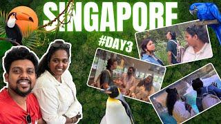 Day 3 Vlog  Bird Paradise  |  हास्यजत्रेच्या टीमसोबतचा Singapore family दौरा 