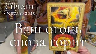 Стрелец ФЕВРАЛЬ 2025 : Ваш огонёк снова горит! | таро прогноз