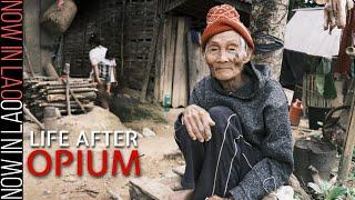 WILD LAOS - How This Khmu Village Survives Now the Opium has Gone