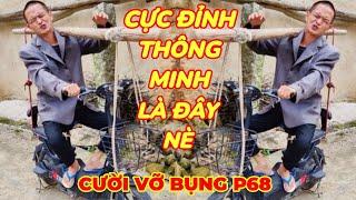 Cười Vỡ Bụng ( P68) | Những Thằng Ngu Nhất Hành Tình Cười Vỡ Bụng