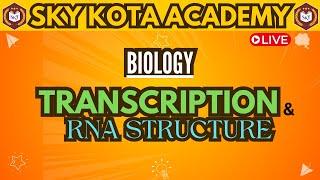 Biology: Transcription and RNA Structure Explained! #youtube #biology #neet