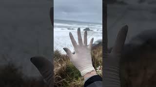 Ocean and gloves #asmr #glovesounds #asmrtriggers #asmrgloves #gloves #asmrvideos #asmrglovesounds