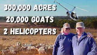 Jaw-Dropping Goat Mustering in NSW