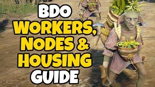 BDO Worker, Node and Housing Guide for Beginners