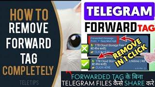 How To Forward Message In Telegram Without Sender Name || How to Remove forward Tag Message √ E RaX