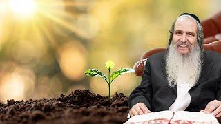 Rabbi Arush is Building the Future! | Rabbi Shalom Arush