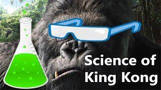 Science of King Kong