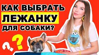 ЛЕЖАНКА ДЛЯ СОБАКИ  | КАК ВЫБРАТЬ ? ЧТО КУПИТЬ ?