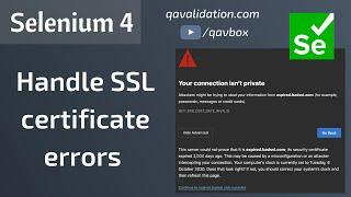 Selenium 4 - Handle SSL certification error | Chrome dev tools - Security