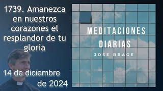 MEDITACIÓN de HOY SÁBADO 14 DICIEMBRE 2024 | EVANGELIO DE HOY | DON JOSÉ BRAGE |MEDITACIONES DIARIAS