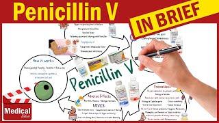 Penicillin V ( Pen Vee K ): What is Penicillin Used For, Dosage, Side Effects & Precautions?