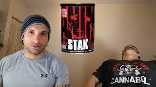 Animal Stak Review