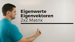 Eigenwerte, Eigenvektoren, 2x2 Matrix mit Geometriezusammenhang | Mathe by Daniel Jung