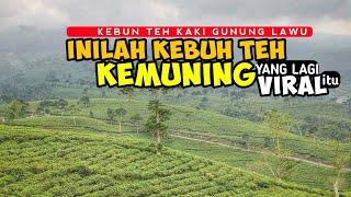 VIDEO KEMUNING VIRAL,TERNYATA LOKASINYA DISINI - SIMAK RUTENYA