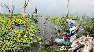 How to float fishing P2 || rohu fishing cutting and cooking | single hook fishing