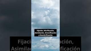 ¿Qué es el Ciclo del Nitrógeno y por qué es Crucial para la Vida? | Divulgación de Ciencias #química