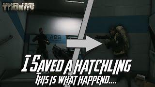 I Saved A Hatchling & This Is What Happened - Escape From Tarkov