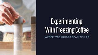 Weber Workshops Bean Cellar: Experimenting with Freezing Coffee