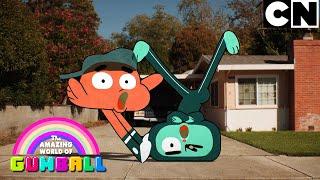 Os Versos de Gumball e Darwin | O Incrível Mundo de Gumball | Cartoon Network 