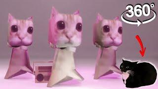 360° VR El Gato  & Maxwell Cat - Get Up