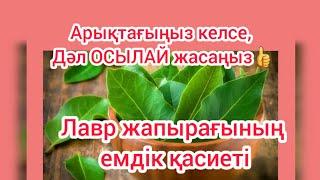 Арықтағыңыз келсе, Дәл ОСЫЛАЙ жасаңыз | Лавр жапырағының емдік қасиеті