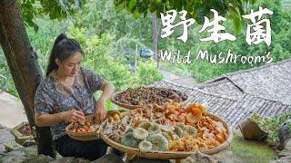 Yunnan people are currently obsessed with one thing: mushroom foraging in the mountains…【滇西小哥】