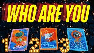 Who Are You ⭐️ Channeling | Oracle | Tarot ⭐️ Very Detailed Pick a Card Timeless Reading ⭐️