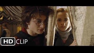 The First Task | Harry Potter and the Goblet of Fire