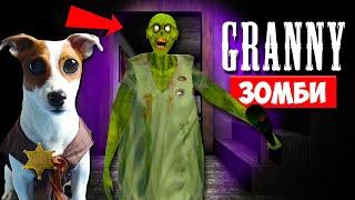 Dog playing in Zombie Granny ► Mod Zombie Granny