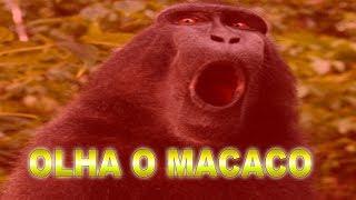 ONU MACACO MEME - todos los memes del mono