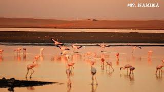 NAMIBIA |  Seals, Flamingos and the Easterly Weather | Pelican Point