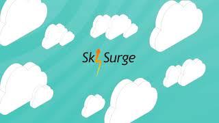 SkySurge Business Solutions - SAP Business One ERP Value Added Reseller