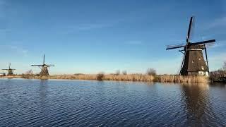 Sunday  winter morning walk near the windmills of Kinderdijk DJI pocket 3 footage