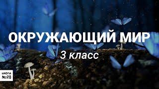 3 класс - Окружающий мир - Путешествие в Грецию - 24.04.2020