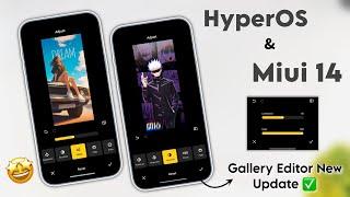 Xiaomi HyperOS Gallery Editor Official New Update Changes & Filter With Animation Working In Miui 