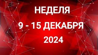 РЫБЫ . ДЕНЬГИ. НЕДЕЛЯ 9-15 ДЕКАБРЯ 2024. Таро прогноз.