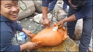 Mutton:-Nepali Cutting Style||Bakra Ko Maasu||Nepali Cutting||Rural Style||Nepali Delicacy Recipe||