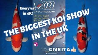 THE UK's BEST KOI SHOW / BKKS NATIONAL 2021 / STUNNING KOI / 4K *** HUGE KOI FISH ***