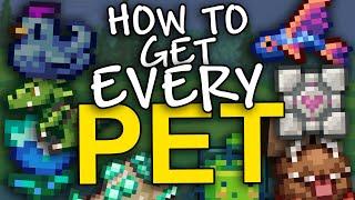 How to get EVERY pet in Terraria (1.4.4)