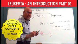 Leukemia | Causes and Symptoms | Part 1/3