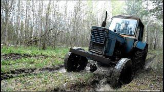 На тракторе МТЗ-80 по грязи в ЛЕС! MTZ-80 tractor through the mud into the forest