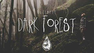 Ultimate Dark Forest  - A Spooky Indie/Folk/Alternative Playlist