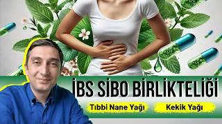IBS (Irritable Bowel Syndrome) and SIBO Association and Supportive Supports in Treatment